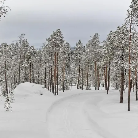 Paadar Aurora Willa Inari